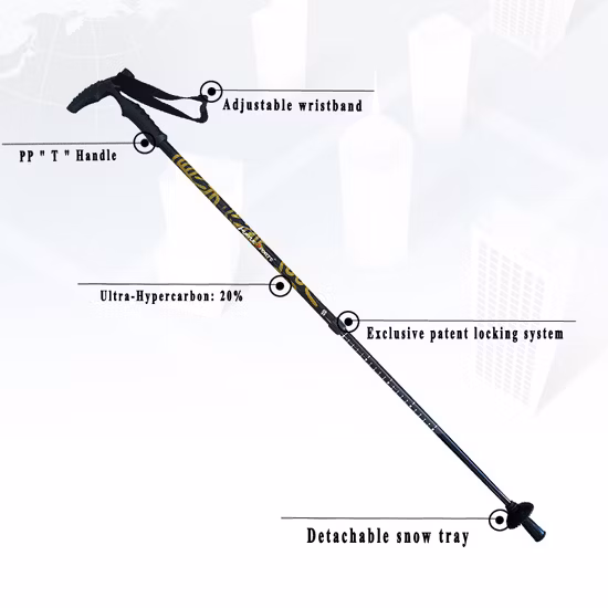 Fashionable Carbon Fiber Telescopic Walking Hiking Trekking Poles